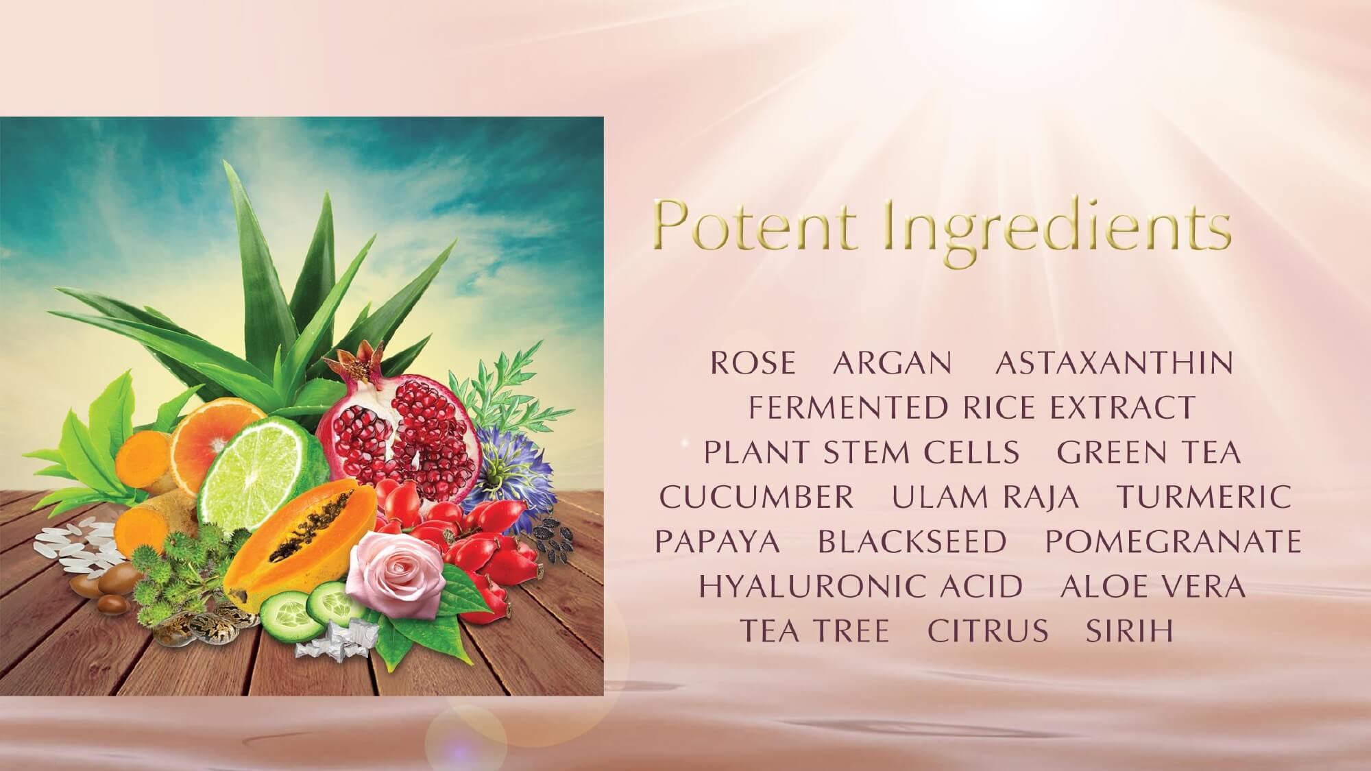 flora-herba-toner-en-3