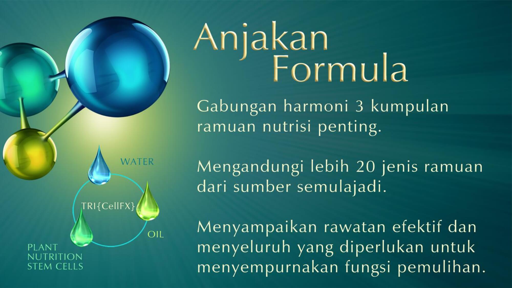 multi-fit-serum-bm-6